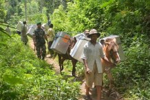 Sejumlah petugas bersiap mengirim logistik Pemilu menggunakan kuda di Desa Brambang Darussalam, Tlogosari, Bondowoso, Jawa Timur, Minggu (6/4).