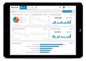 Boomerang-Commerce-Dynamic-Price-Optimizer