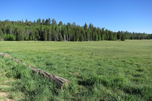 Apple=Conservation-Fund-inovasicom