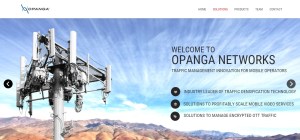 Opanga-homepage-